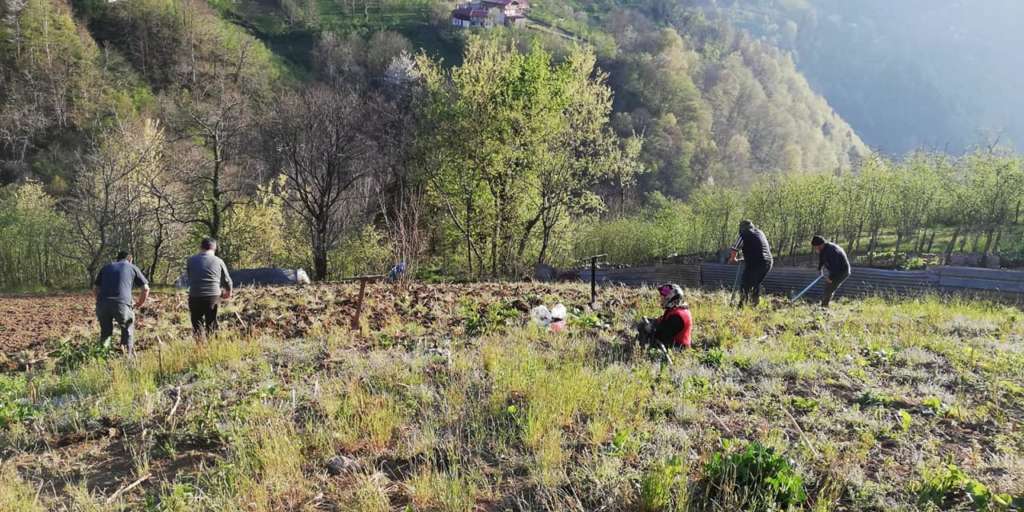Sosyal Destek Grubu Tarla Belledi 1