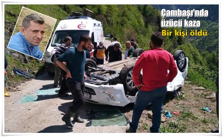 Çambaşında Trafik kazası