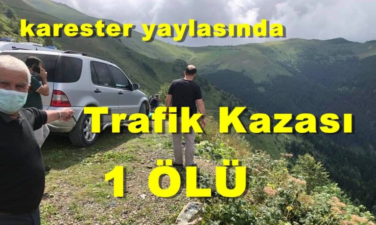 Elim bir kaza sonucu Emine Şahin vefat etti