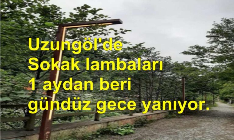 Uzungöl’de vatandaşlar sokak lambalarına isyan ediyor