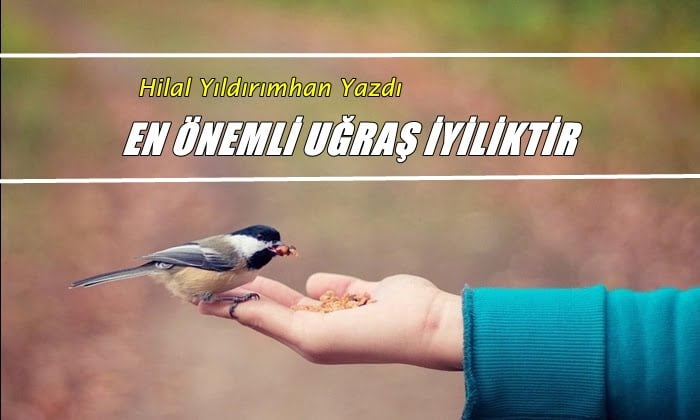 En Önemli Uğraş İyiliktir