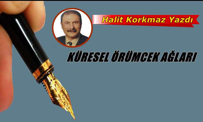 Küresel örümcek ağları