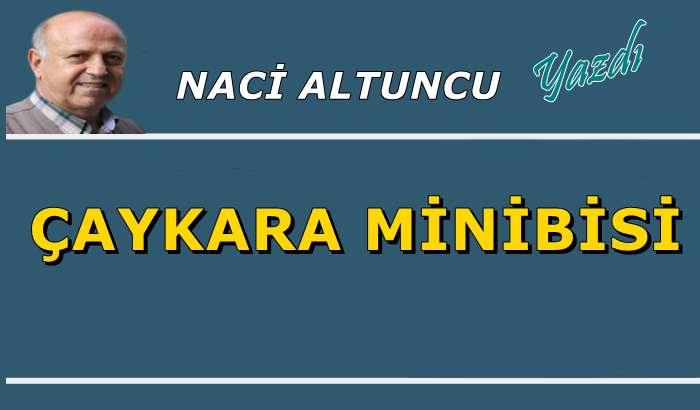 Çaykara minibisi