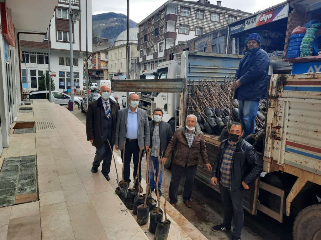 Trabzon Çaykara Dernekpazarı Derneği 1300 fidan dağıttı 1