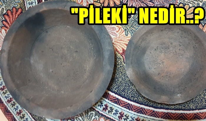 “PİLEKİ” Nedir?