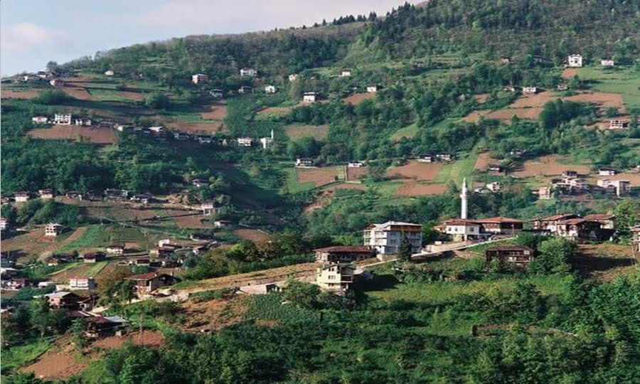 Taşören Mahallesinden Zeynep Akyüz vefat etti