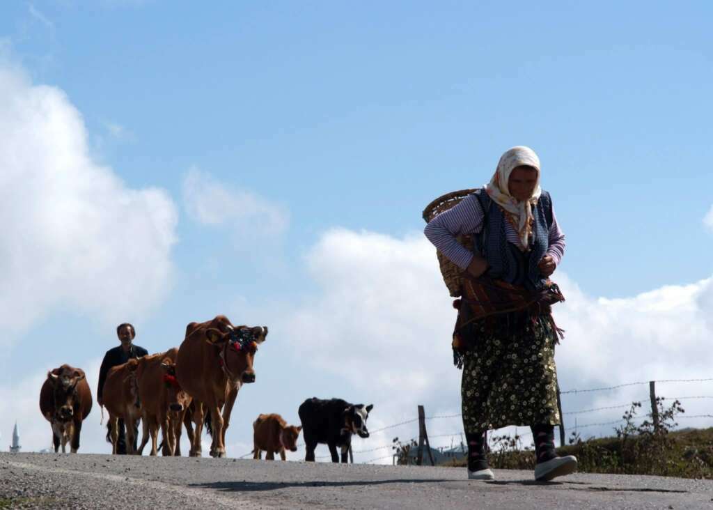 Yaylalardan dönüşler başladı