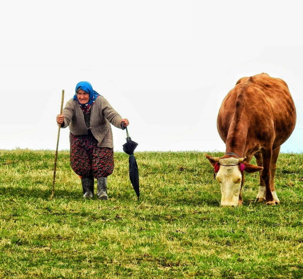 Mehmet Eren’in kaleminden: Yayladan inerken…