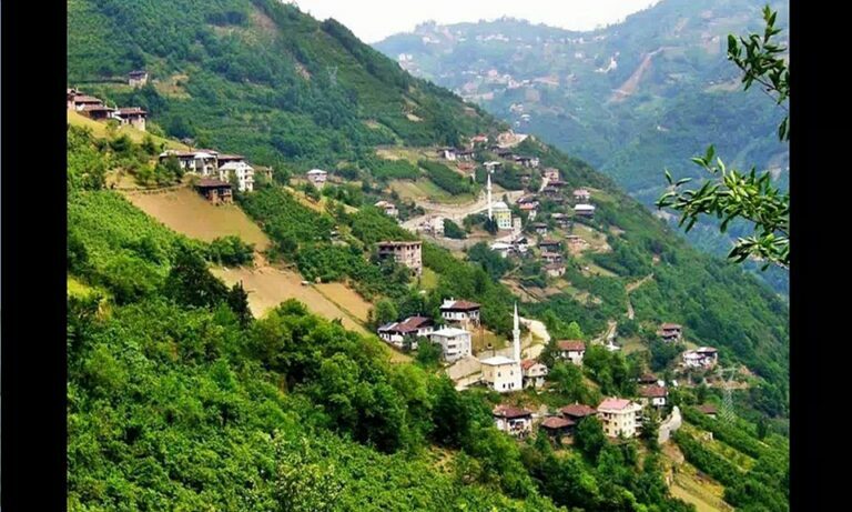 Akdoğan Mahallesinden Aslıhan Yavuz vefat etti