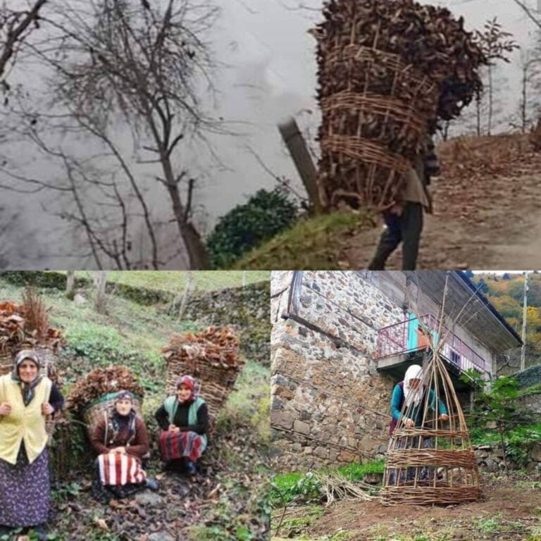 Köye inmek ve kış hazırlıkları