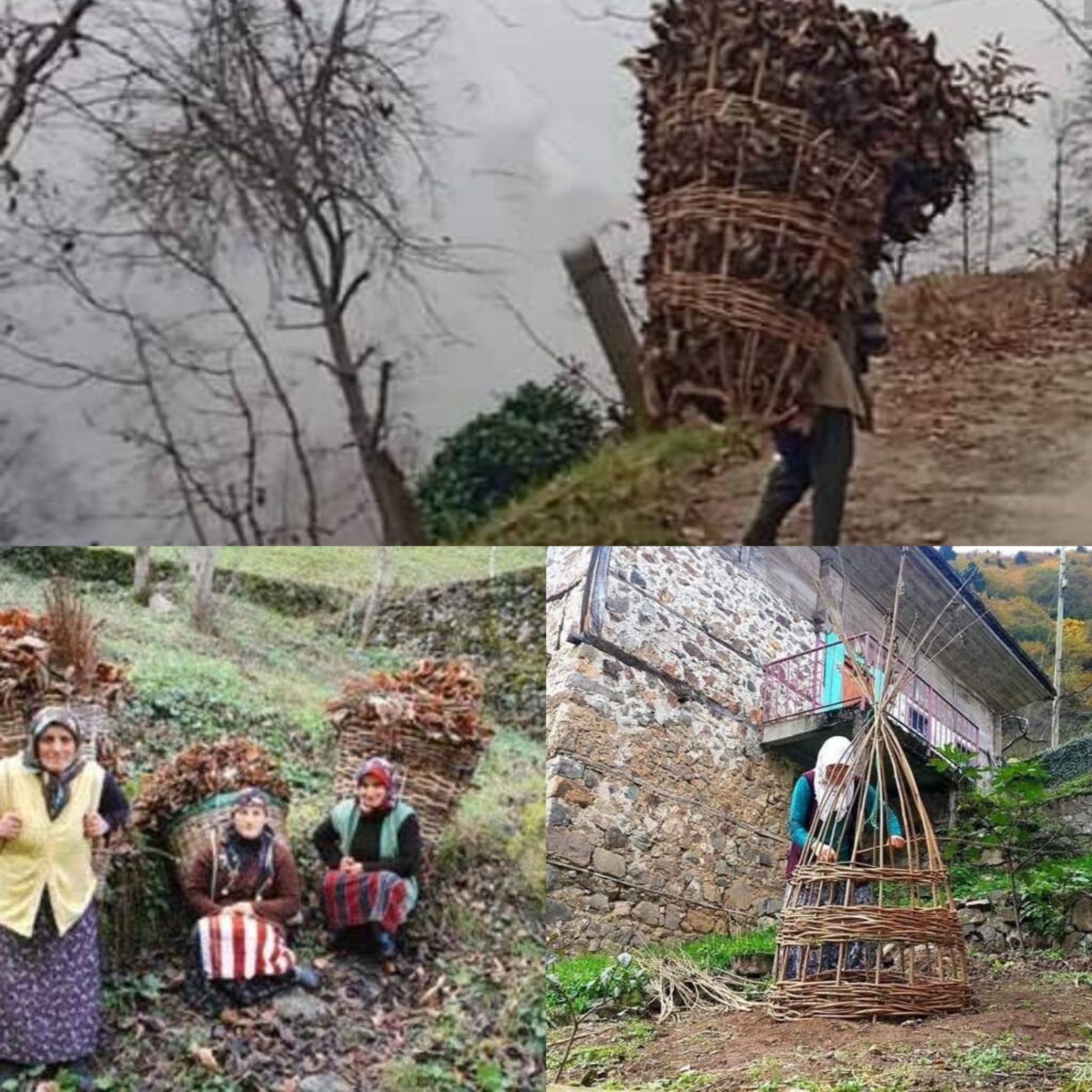 Köye inmek ve kış hazırlıkları