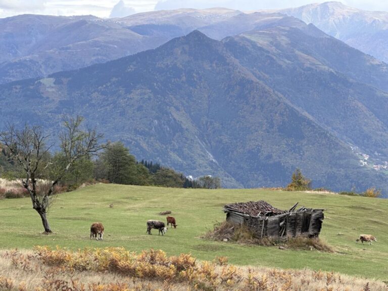 İyi ki köyümüz var!