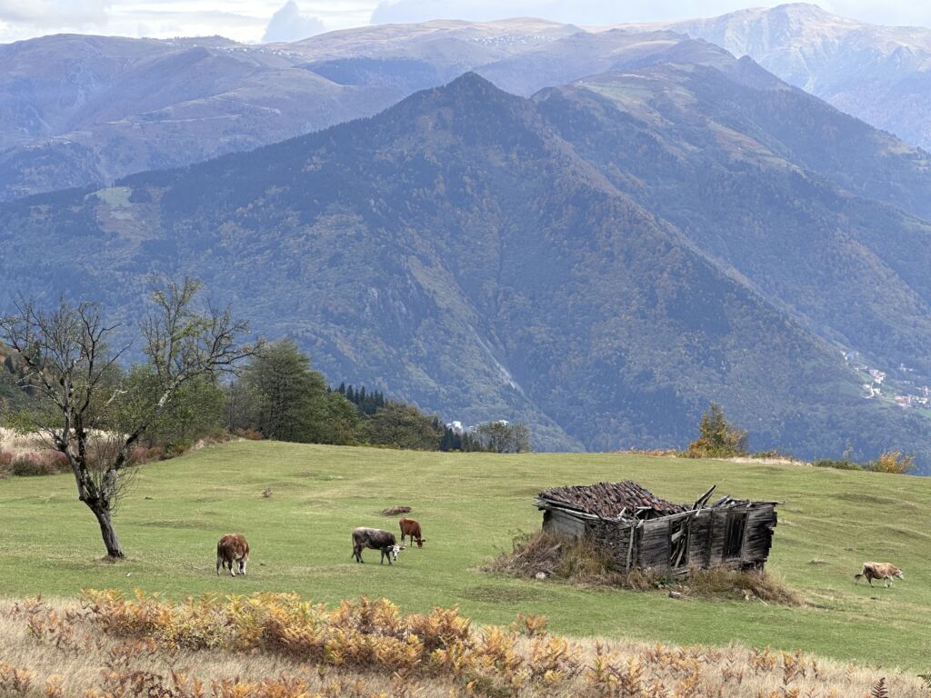 İyi ki köyümüz var!