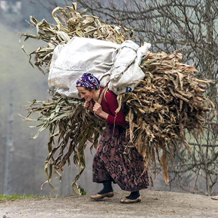 Karadeniz Kölesi (Kadını)