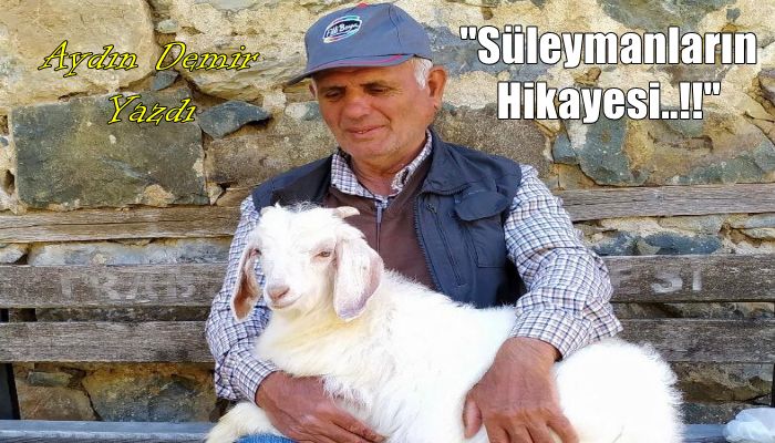 SÜLEYMANLARIN HİKÂYESİ