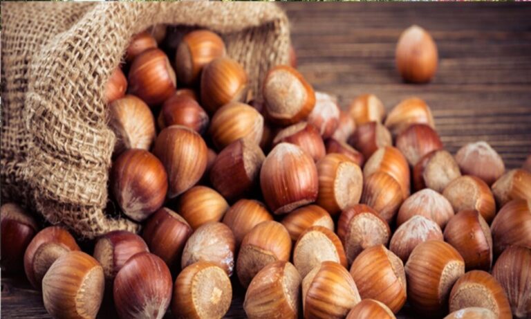 Trabzon Tarım İl Müdürlüğünden duyuru