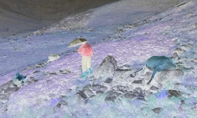 Yıldırım düşmesi sonucu hayvanlar telef oldu