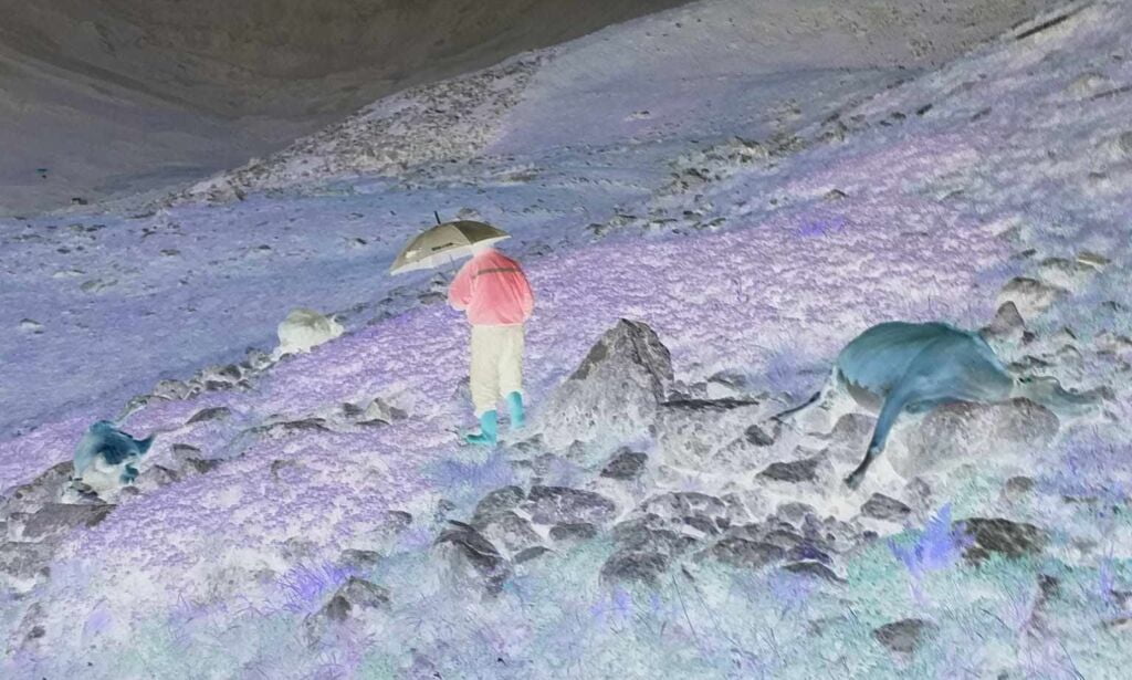 Yıldırım düşmesi sonucu hayvanlar telef oldu