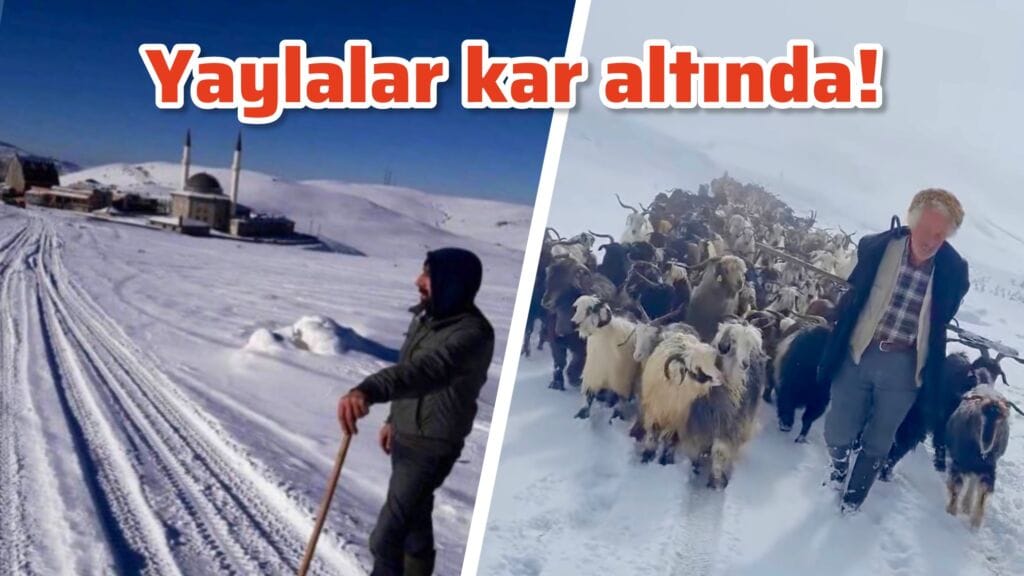 Yaylalarda kar erkisini sürdürüyor