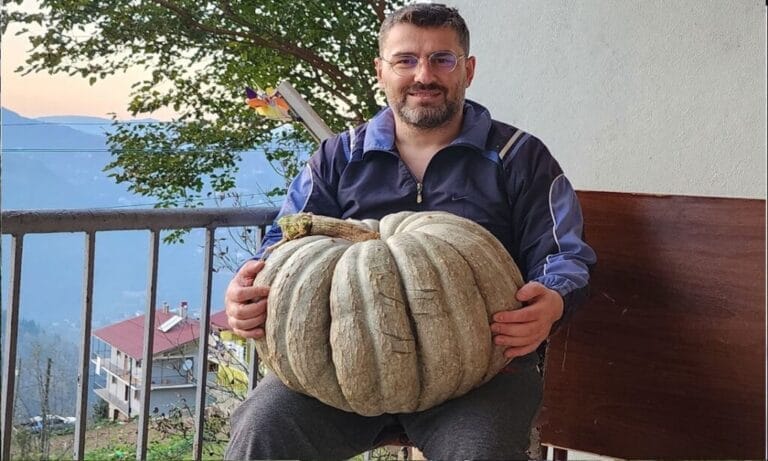 Dev kabaklar yetiştirdi