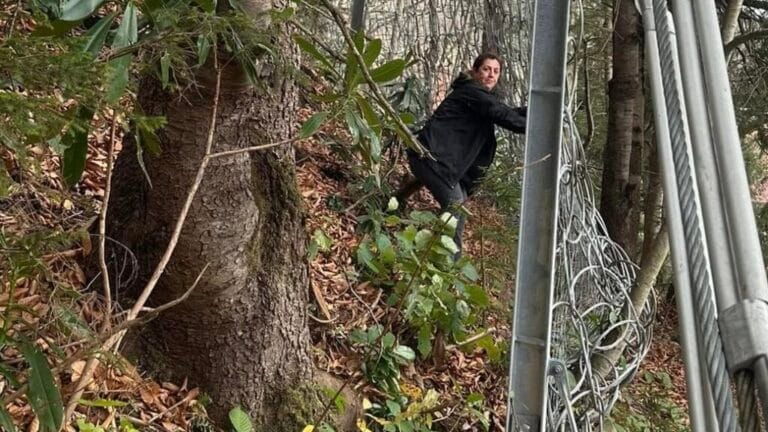 Uzungöl’de kayalar kontrol altında