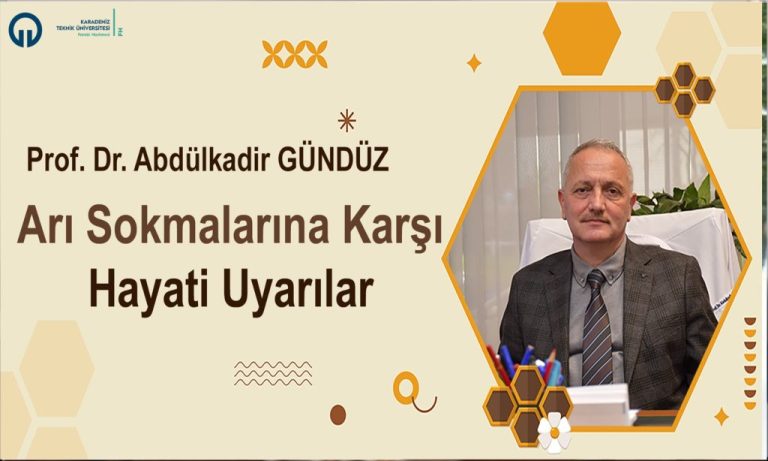 Arı Sokmalarına Karşı Hayati Uyarılar