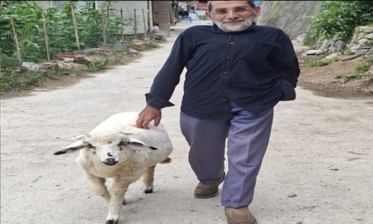 Emekli İmam Hatip Cemal Kurt’un Koyun Sevgisi Görenleri Şaşırtıyor