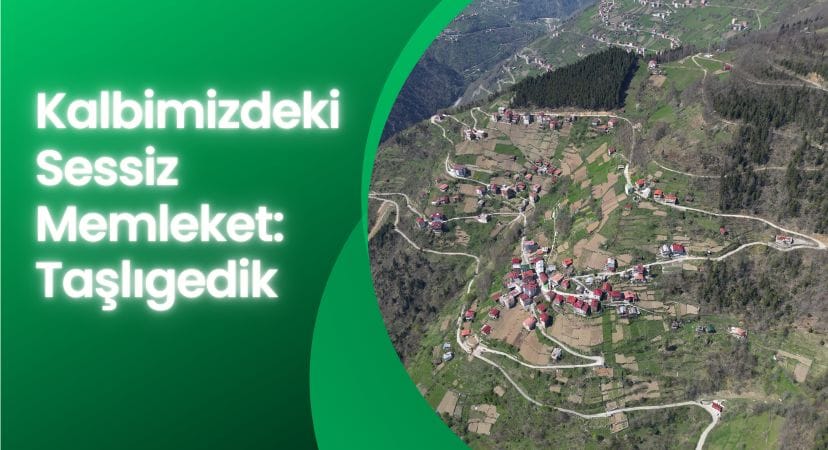 Kalbimizdeki Sessiz Memleket: Taşlıgedik