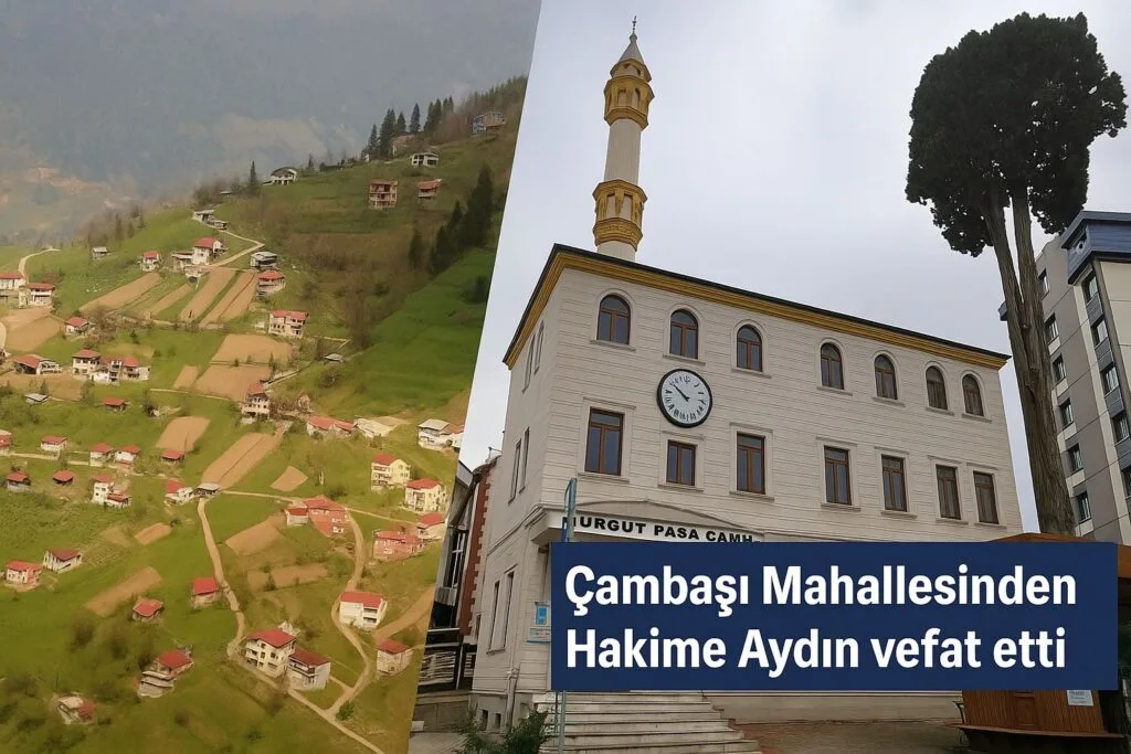 Çambaşı Mahallesinden Hakime Aydın Vefat Etti.