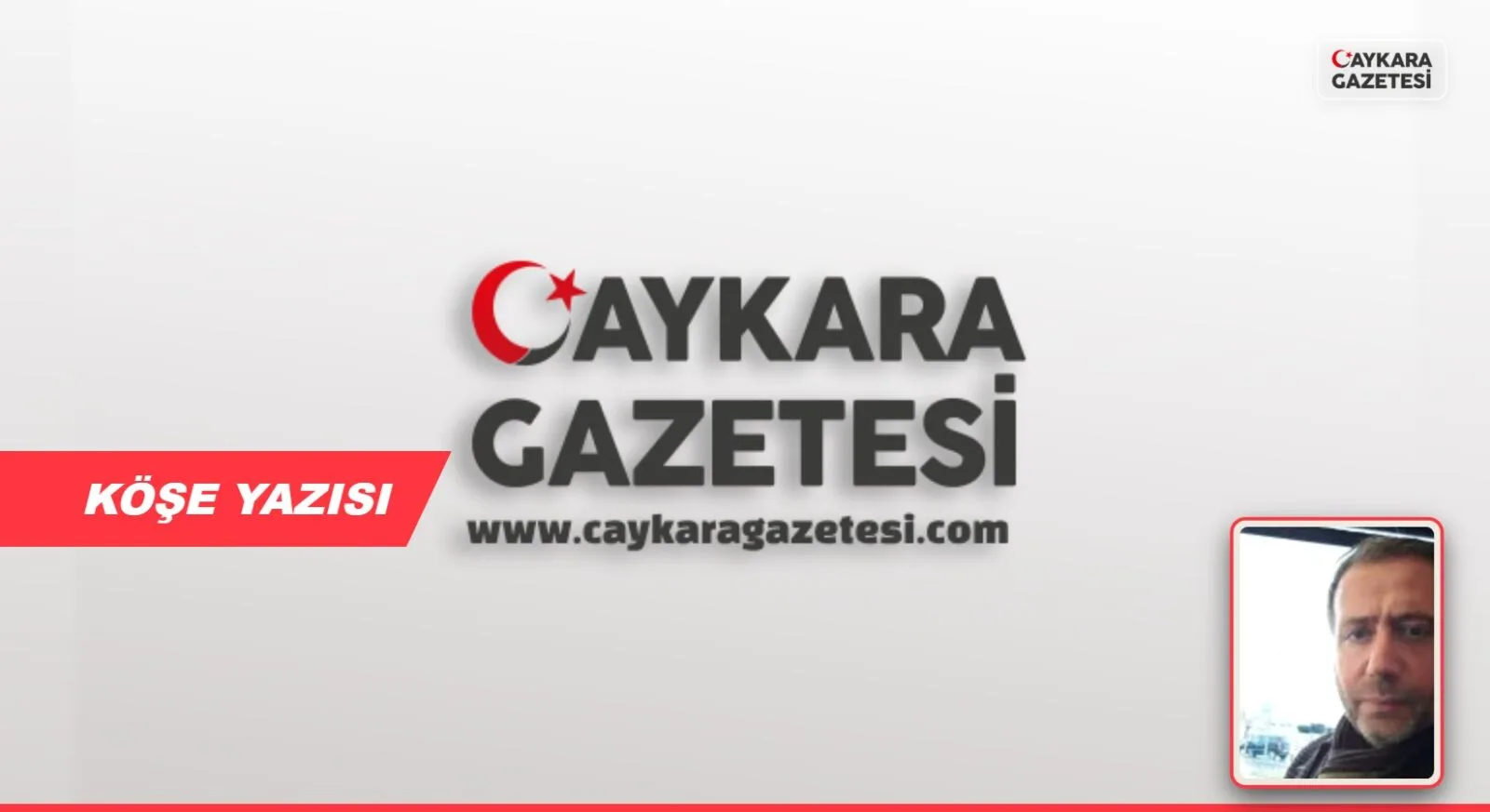Dünya vampirleri