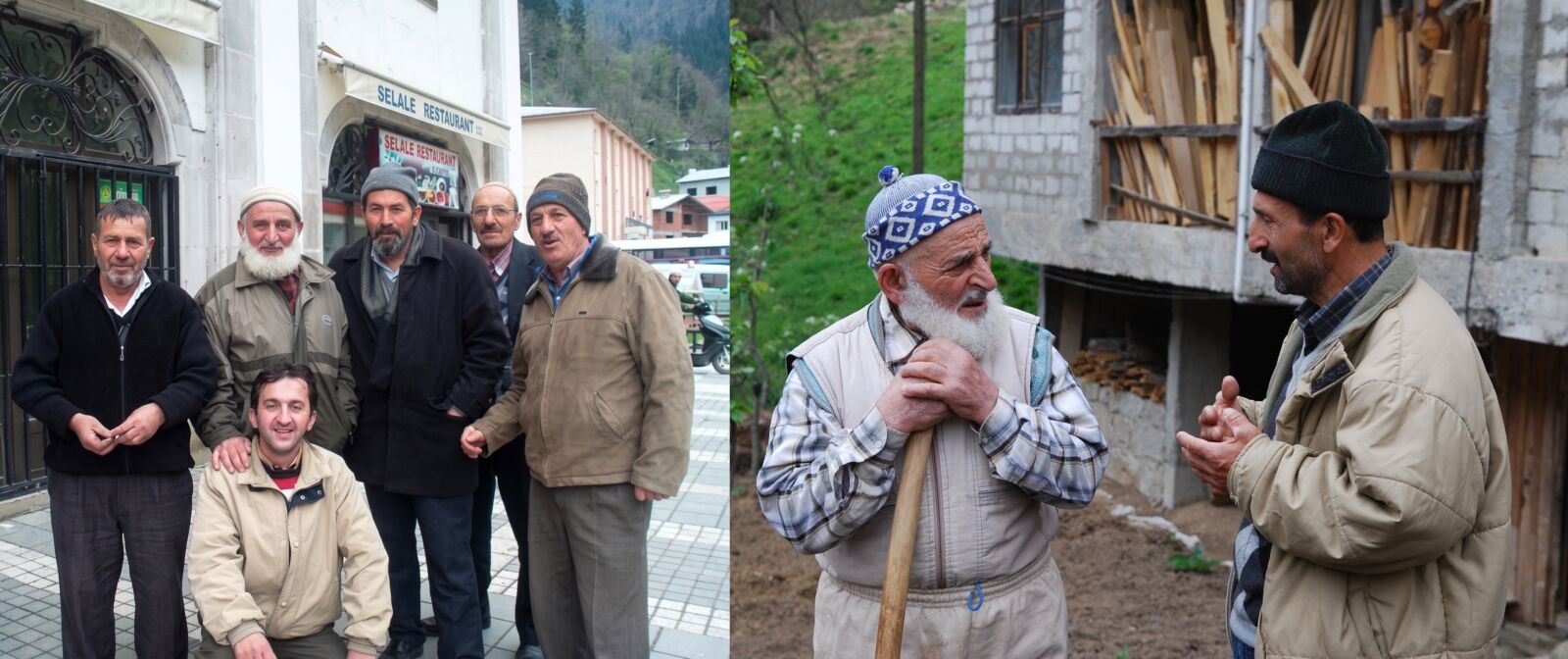 Gölgelerinde Huzur Bulduğumuz Çınarlarımız Yok Artık 1