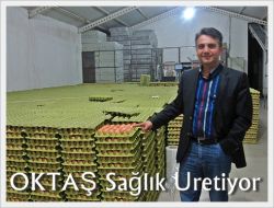 Doğal Yumurta Üretiyorlar 1