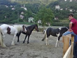 Çaykara'da Atlar Koşmaya Başladı 1