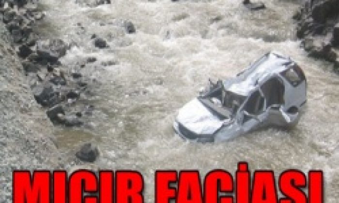 Solaklı’da Can Pazarı
