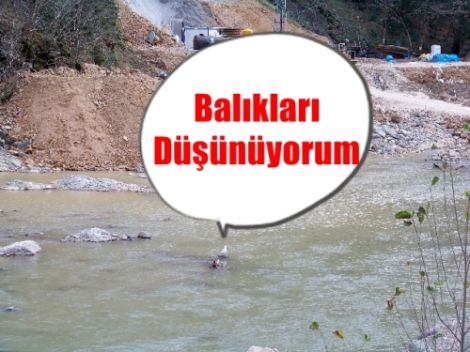 Hopşera Altından Düşündüren Fotoğraflar! 10
